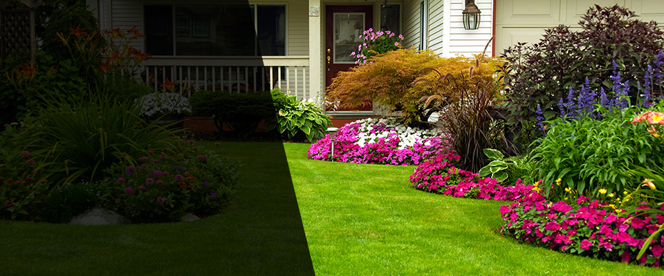 Mount Wolf Landscapers
